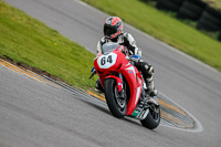 PJ-Motorsport-2019;anglesey-no-limits-trackday;anglesey-photographs;anglesey-trackday-photographs;enduro-digital-images;event-digital-images;eventdigitalimages;no-limits-trackdays;peter-wileman-photography;racing-digital-images;trac-mon;trackday-digital-images;trackday-photos;ty-croes